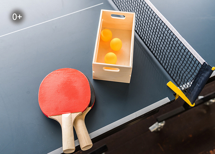 Теннис настольный