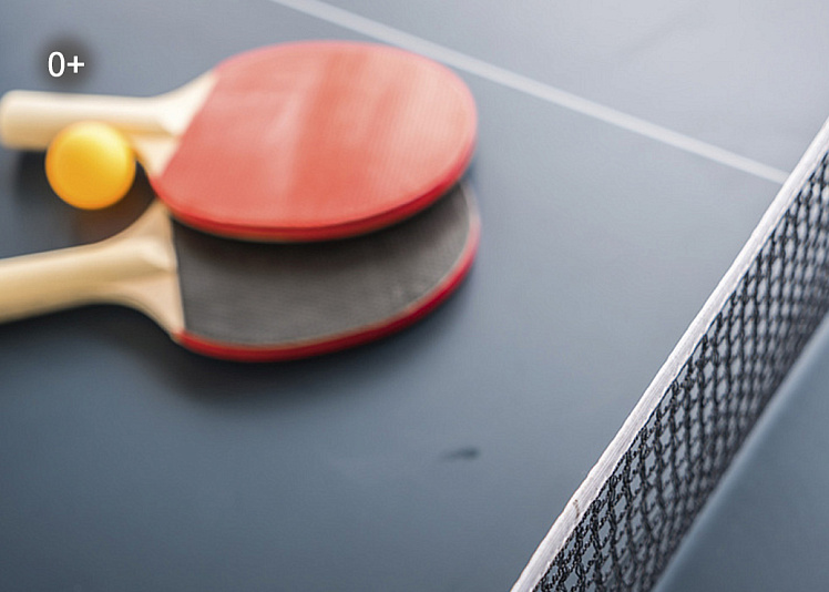 Теннис настольный
